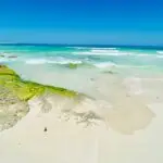 San andres 7